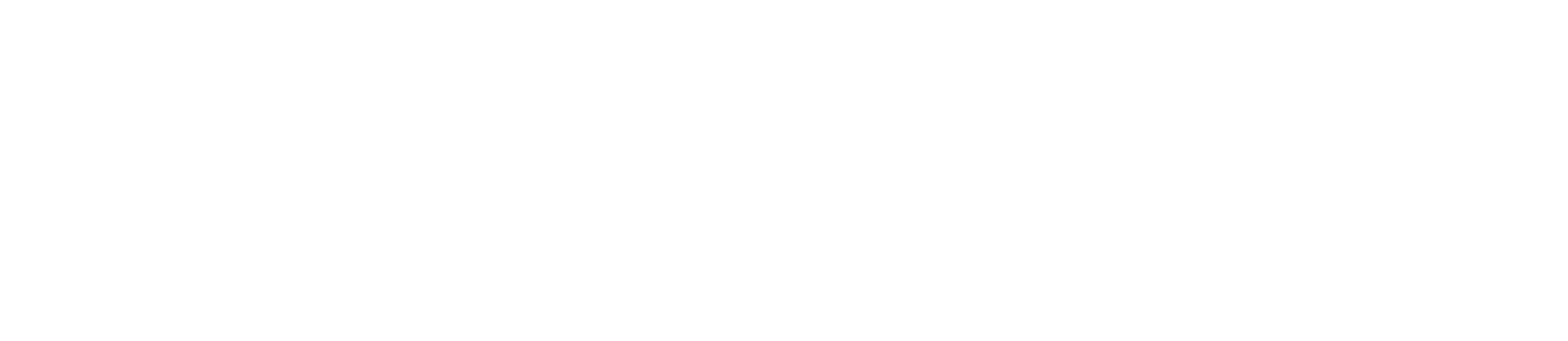 Logo Nikh wit